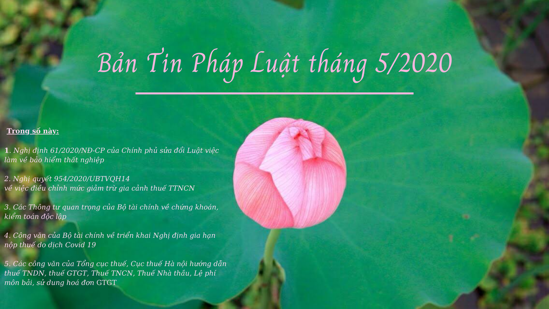 BẢN TIN VĂN BẢN PHÁP LUẬT THÁNG 5/2020