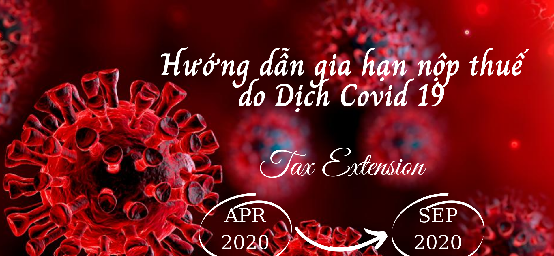 HƯỚNG DẪN GIA HẠN NỘP THUẾ DO DỊCH COVID 19